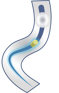 1c3b6ae9-8687-4086-96f9-68259467076d