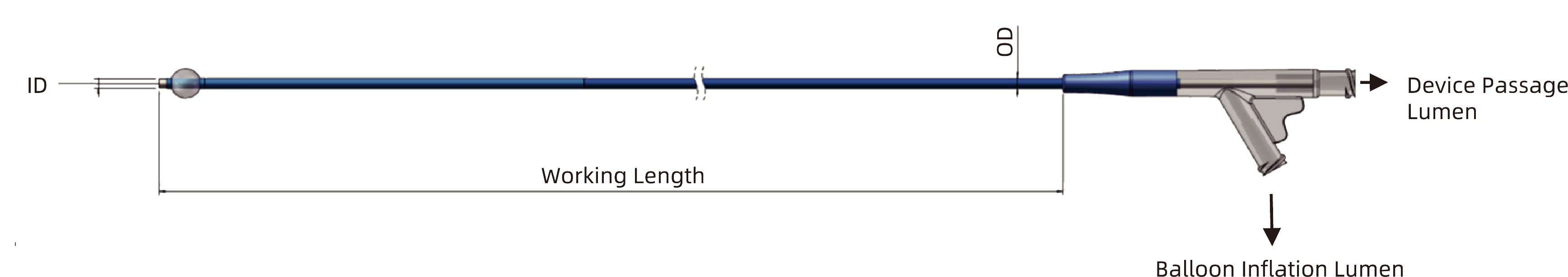 217cd5bc-831d-4f1a-800e-9e098221f309