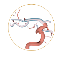 74ff2077e8441fd20d4f175b06daf0a