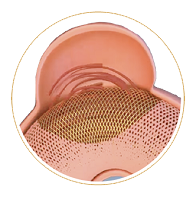 8f0baa88fb33f28cb7a9c7c678f267e