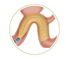 906e0f2464b3d526f1397290ad8aec8