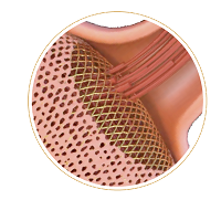 d085796a7d107ce7bd520dfce84b12d